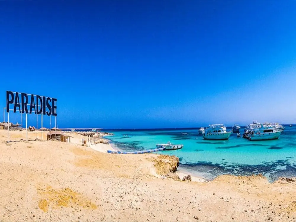 Paradise Island Snorkeling Excursion – Red Sea Adventure
